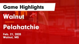 Walnut  vs Pelahatchie  Game Highlights - Feb. 21, 2020