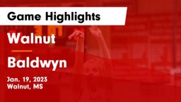 Walnut  vs Baldwyn  Game Highlights - Jan. 19, 2023