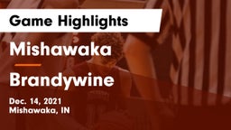 Mishawaka  vs Brandywine  Game Highlights - Dec. 14, 2021
