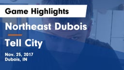 Northeast Dubois  vs Tell City  Game Highlights - Nov. 25, 2017