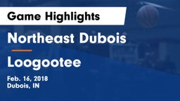 Northeast Dubois  vs Loogootee  Game Highlights - Feb. 16, 2018