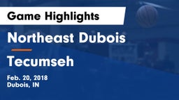 Northeast Dubois  vs Tecumseh  Game Highlights - Feb. 20, 2018