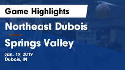 Northeast Dubois  vs Springs Valley  Game Highlights - Jan. 19, 2019