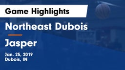 Northeast Dubois  vs Jasper  Game Highlights - Jan. 25, 2019