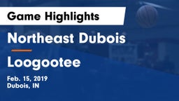 Northeast Dubois  vs Loogootee  Game Highlights - Feb. 15, 2019
