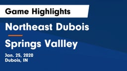 Northeast Dubois  vs Springs Vallley Game Highlights - Jan. 25, 2020