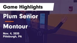 Plum Senior  vs Montour  Game Highlights - Nov. 4, 2020