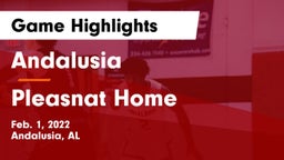 Andalusia  vs Pleasnat Home Game Highlights - Feb. 1, 2022