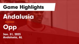 Andalusia  vs Opp  Game Highlights - Jan. 31, 2023