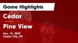 Cedar  vs Pine View  Game Highlights - Jan. 13, 2023