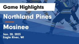 Northland Pines  vs Mosinee  Game Highlights - Jan. 28, 2023