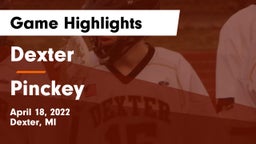 Dexter  vs Pinckey  Game Highlights - April 18, 2022