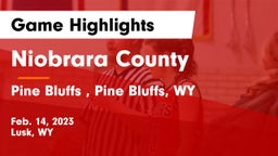 Niobrara County  vs Pine Bluffs , Pine Bluffs, WY Game Highlights - Feb. 14, 2023