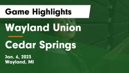Wayland Union  vs Cedar Springs  Game Highlights - Jan. 6, 2023