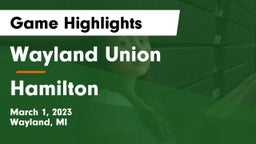 Wayland Union  vs Hamilton  Game Highlights - March 1, 2023