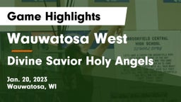 Wauwatosa West  vs Divine Savior Holy Angels Game Highlights - Jan. 20, 2023