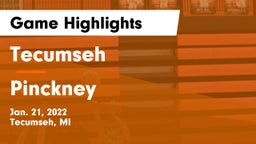 Tecumseh  vs Pinckney  Game Highlights - Jan. 21, 2022