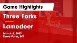 Three Forks  vs Lamedeer Game Highlights - March 4, 2023