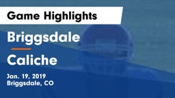 Briggsdale  vs Caliche Game Highlights - Jan. 19, 2019