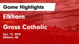 Elkhorn  vs Gross Catholic  Game Highlights - Jan. 12, 2018