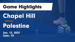 Chapel Hill  vs Palestine  Game Highlights - Jan. 12, 2024