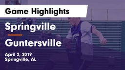 Springville  vs Guntersville  Game Highlights - April 2, 2019