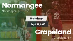 Matchup: Normangee High vs. Grapeland  2018