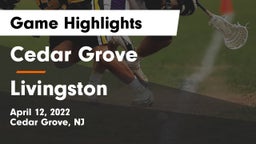 Cedar Grove  vs Livingston  Game Highlights - April 12, 2022