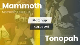 Matchup: Mammoth  vs. Tonopah  2018