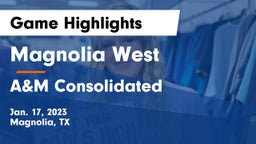 Magnolia West  vs A&M Consolidated  Game Highlights - Jan. 17, 2023