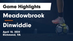Meadowbrook  vs Dinwiddie  Game Highlights - April 18, 2024