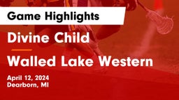 Divine Child  vs Walled Lake Western  Game Highlights - April 12, 2024