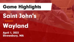 Saint John's  vs Wayland  Game Highlights - April 1, 2022