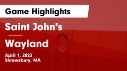 Saint John's  vs Wayland  Game Highlights - April 1, 2023