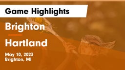 Brighton  vs Hartland Game Highlights - May 10, 2023