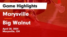 Marysville  vs Big Walnut  Game Highlights - April 20, 2024