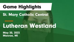 St. Mary Catholic Central  vs Lutheran Westland Game Highlights - May 30, 2023