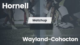 Matchup: Hornell  vs. Wayland-Cohocton  2016