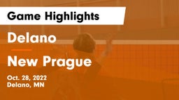 Delano  vs New Prague  Game Highlights - Oct. 28, 2022