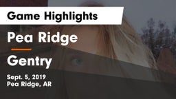 Pea Ridge  vs Gentry  Game Highlights - Sept. 5, 2019