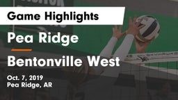 Pea Ridge  vs Bentonville West  Game Highlights - Oct. 7, 2019