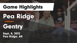 Pea Ridge  vs Gentry  Game Highlights - Sept. 8, 2022