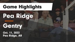 Pea Ridge  vs Gentry  Game Highlights - Oct. 11, 2022