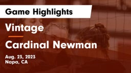 Vintage  vs Cardinal Newman  Game Highlights - Aug. 23, 2023