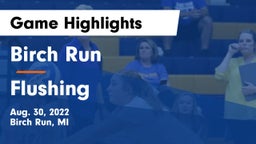 Birch Run  vs Flushing  Game Highlights - Aug. 30, 2022