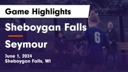 Sheboygan Falls  vs Seymour  Game Highlights - June 1, 2024