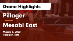 Pillager  vs Mesabi East  Game Highlights - March 3, 2022