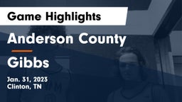 Anderson County  vs Gibbs  Game Highlights - Jan. 31, 2023