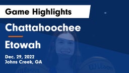 Chattahoochee  vs Etowah  Game Highlights - Dec. 29, 2022