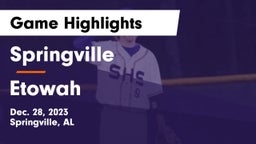 Springville  vs Etowah Game Highlights - Dec. 28, 2023